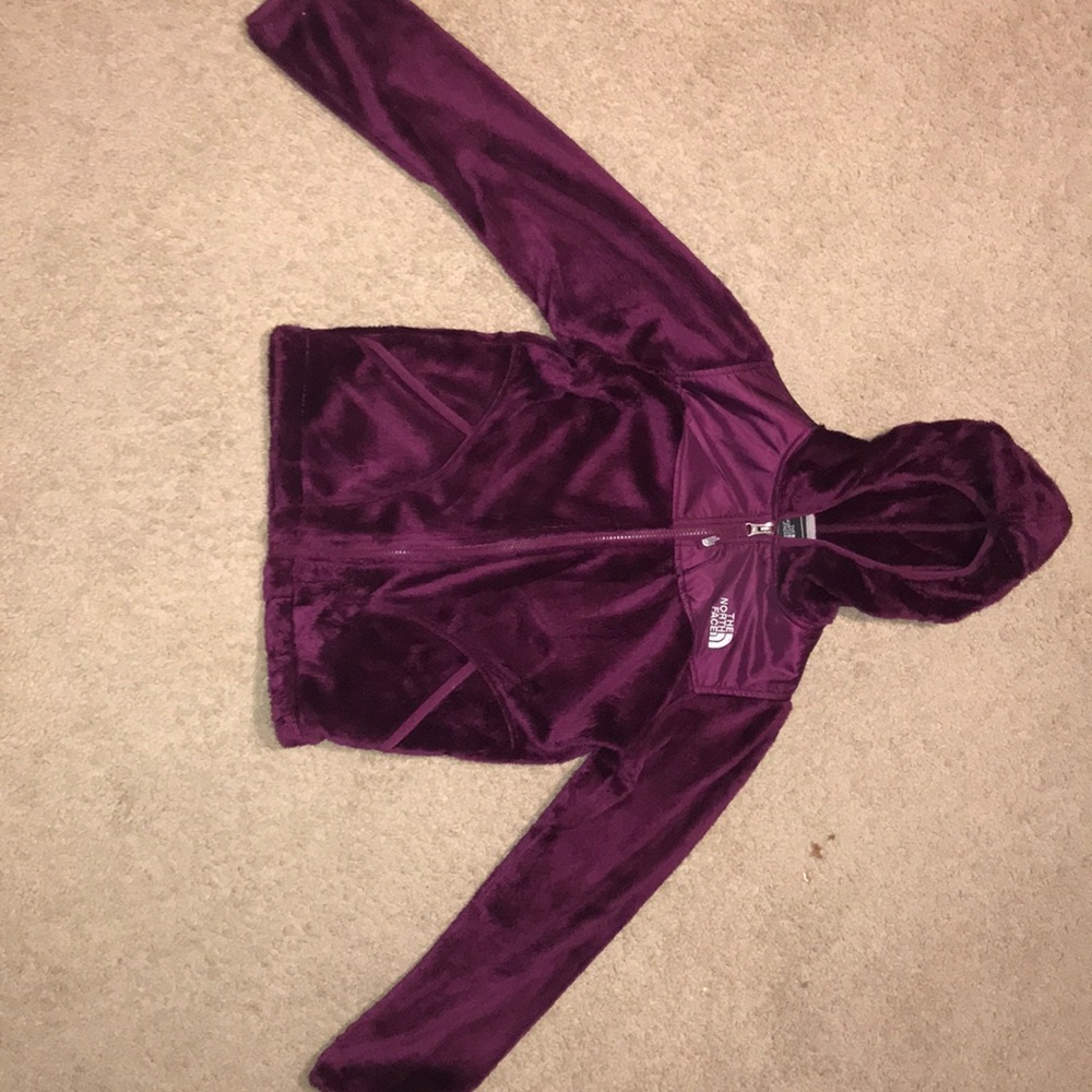 plum north face jacket